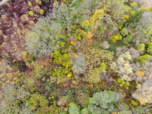 created by dji camera